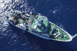 Entre el 12 de junio y el 2 de julio