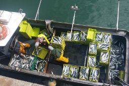 Mediante resolución publicada hoy en el BOE