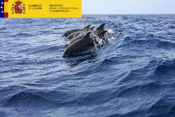 Se desarrollará en el golfo de Vizcaya y la costa ibérica