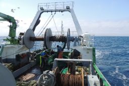 Hoy, en el Boletín Oficial del Estado