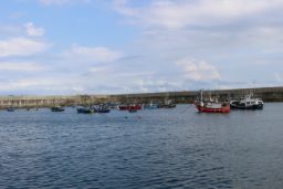 EN UNA REUNIÓN MANTENIDA POR VIDEOCONFERENCIA