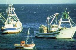 TAC y cuotas pesqueras