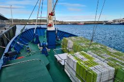 Hoy, en el Boletín Oficial del Estado 