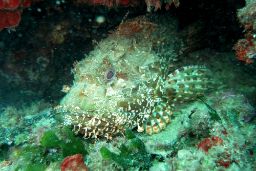 La primera de las 12 reservas creadas por el MAPA a lo largo de este fructífero periodo 