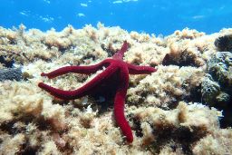 El aniversario es el sábado 7 de septiembre