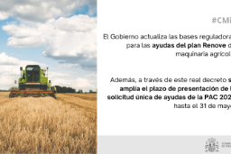 Hoy, en Consejo de Ministros