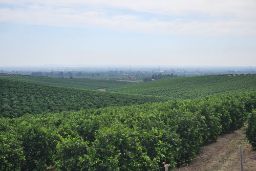 Con fondos del Plan de Recuperación, Transformación y Resiliencia