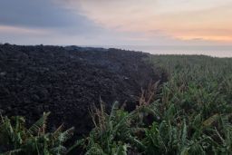 Abierto el proceso de consulta pública de la orden desde mañana, día 29, hasta el 8 de noviembre