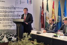 Hoy, en Úbeda (Jaén)