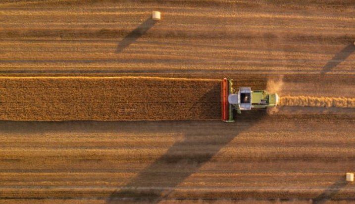 Publicado en la web del FEGA