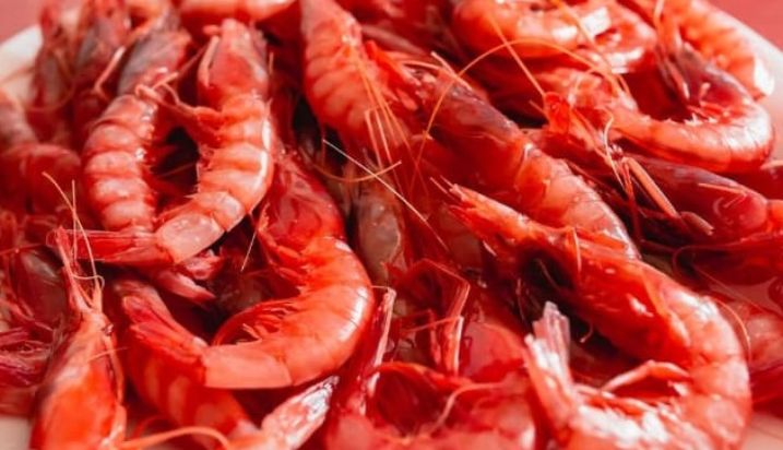 Mediante resolución publicada hoy en el BOE