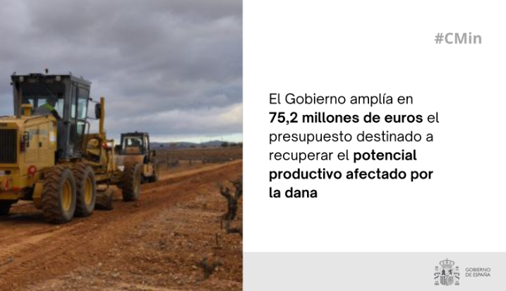 Hoy, en Consejo de Ministros