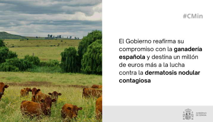 Hoy, en el Consejo de Ministros