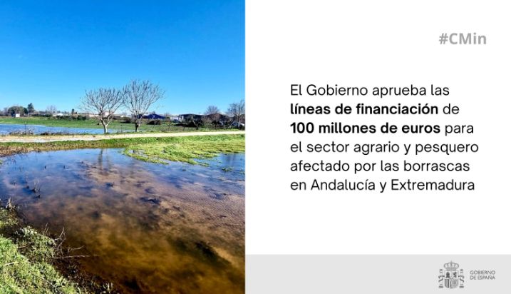 Hoy, en Consejo de Ministros