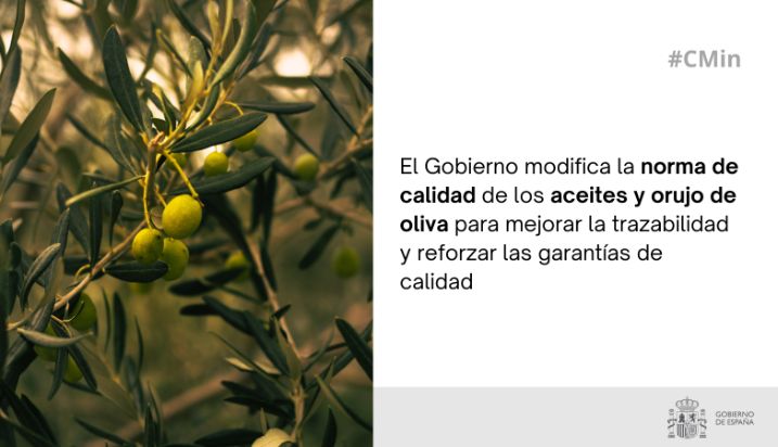 Hoy, en Consejo de Ministros