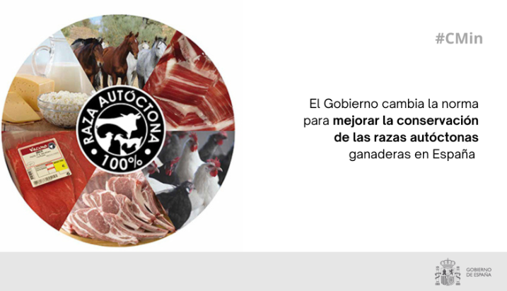 Hoy en Consejo de Ministros 