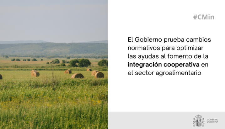 Hoy, en Consejo de Ministros