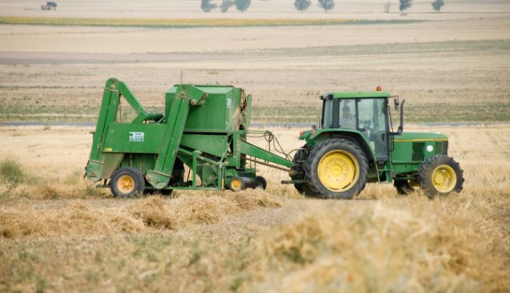 Primera estimación de las principales cifras económicas del sector agrario en 2025