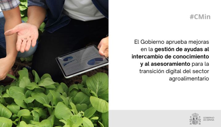 Hoy, en Consejo de Ministros