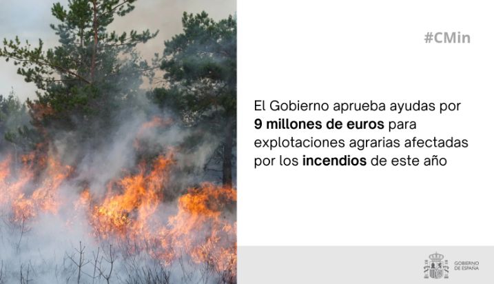 Hoy, en Consejo de Ministros
