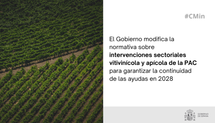 Hoy, en el Consejo de Ministros