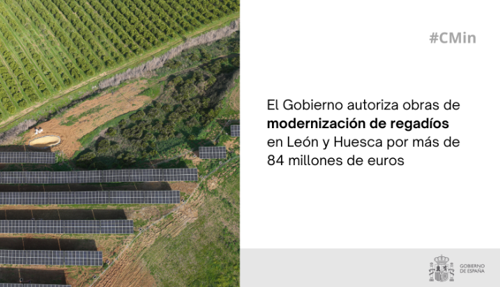 Hoy, en Consejo de Ministros