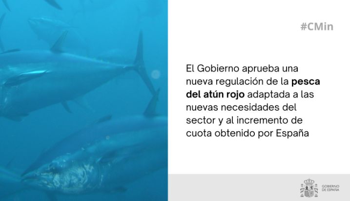 Hoy, en Consejo de Ministros