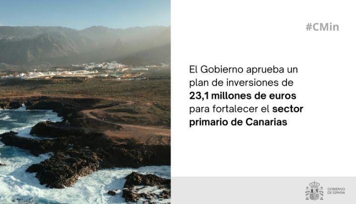 Hoy, en Consejo de Ministros