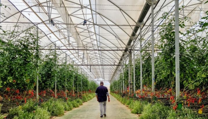 Perfil de usuario y de las operaciones de SAECA 2025