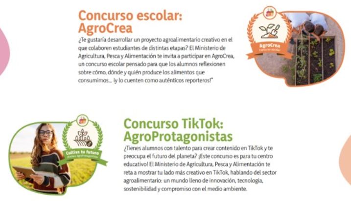 Proyectos creativos y vídeos para redes sociales