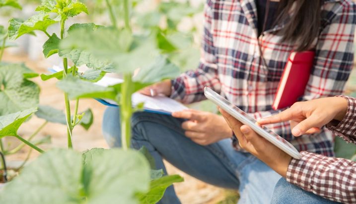 El plazo estará abierto hasta el 30 de enero