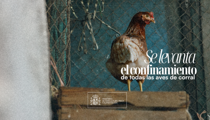 Mediante orden ministerial publicada hoy en el BOE 