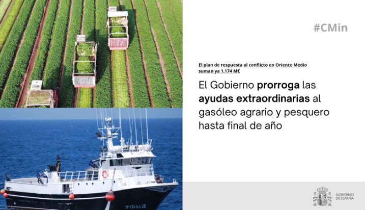 Hoy, en Consejo de Ministros