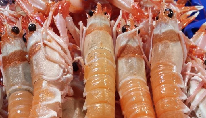 Hoy, en el Boletín Oficial del Estado