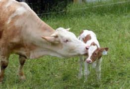 Los datos están disponibles en la página web del ministerio