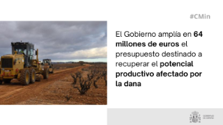 Hoy, en el Consejo de Ministros
