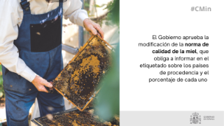 Hoy, en Consejo de Ministros  