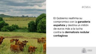 Hoy, en el Consejo de Ministros