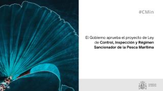 Hoy, en Consejo de Ministros
