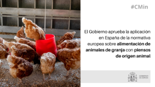 Hoy, en Consejo de Ministros