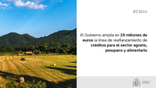 Hoy, en Consejo de Ministros