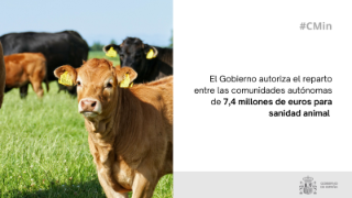 Hoy, en Consejo de Ministros