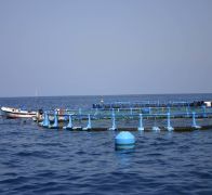 Mediante una Orden publicada el 24 de julio en el BOE