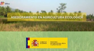 Dentro del plan de formación 2024  