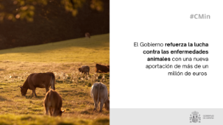 Hoy, en Consejo de Ministros