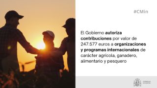 Hoy, en Consejo de Ministros