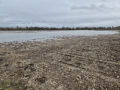 Disponible en la página web del Fondo Español de Garantía Agraria 