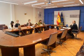 Hoy, en el plenario celebrado por videoconferencia 