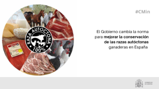 Hoy en Consejo de Ministros 