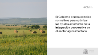 Hoy, en Consejo de Ministros